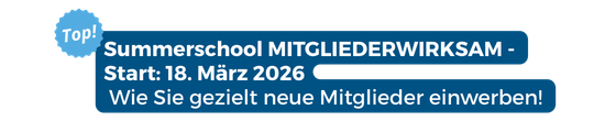 DVF Aktionsfläche Summerschool 2026 560x120px Transp.